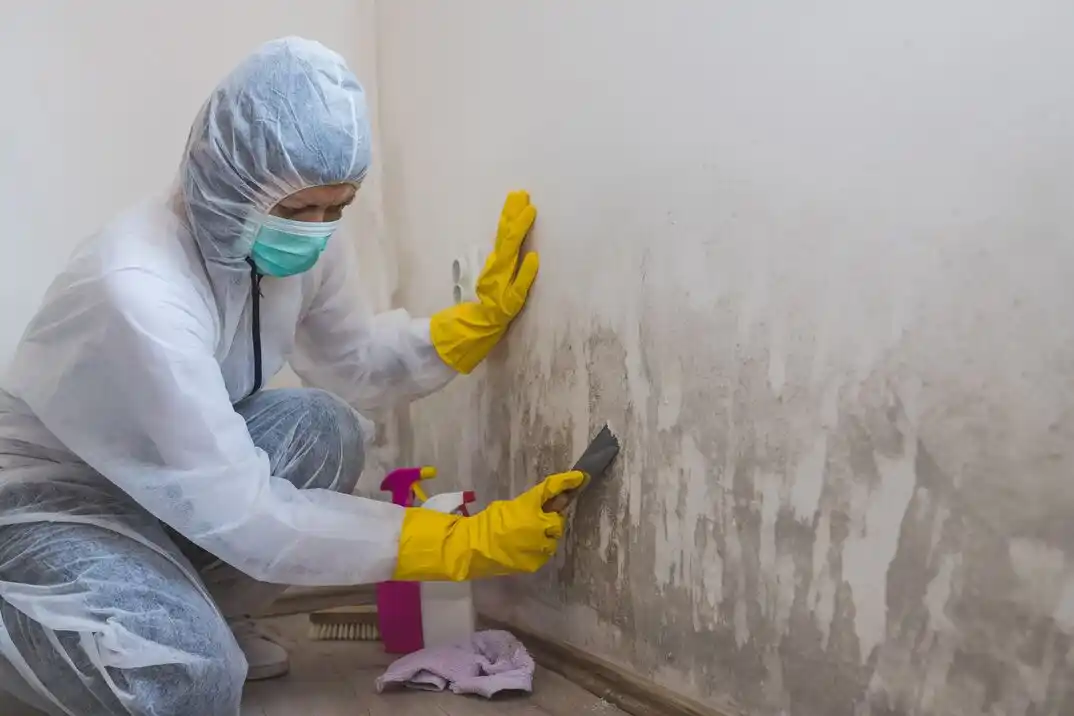 water damage restoration service Jackson Place